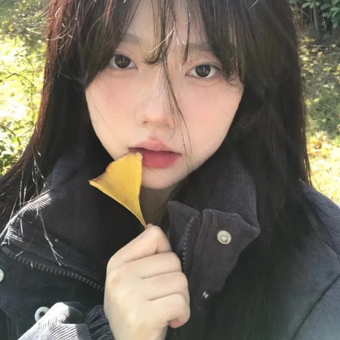 群芳灿烂